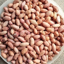 2025年海花花生米规格7-8对接商超电商食堂学校工厂，