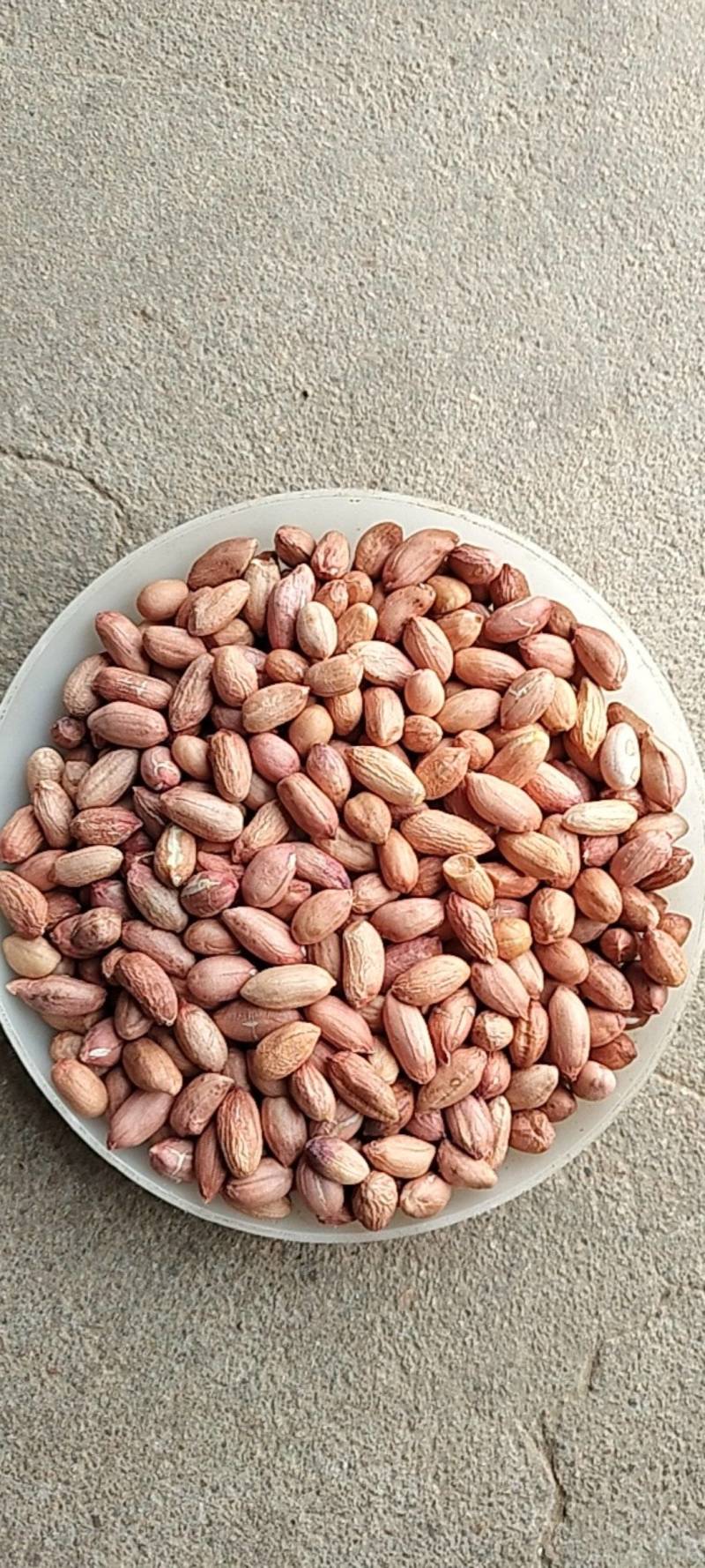 2025年海花花生米规格7-8对接商超电商食堂学校工厂，