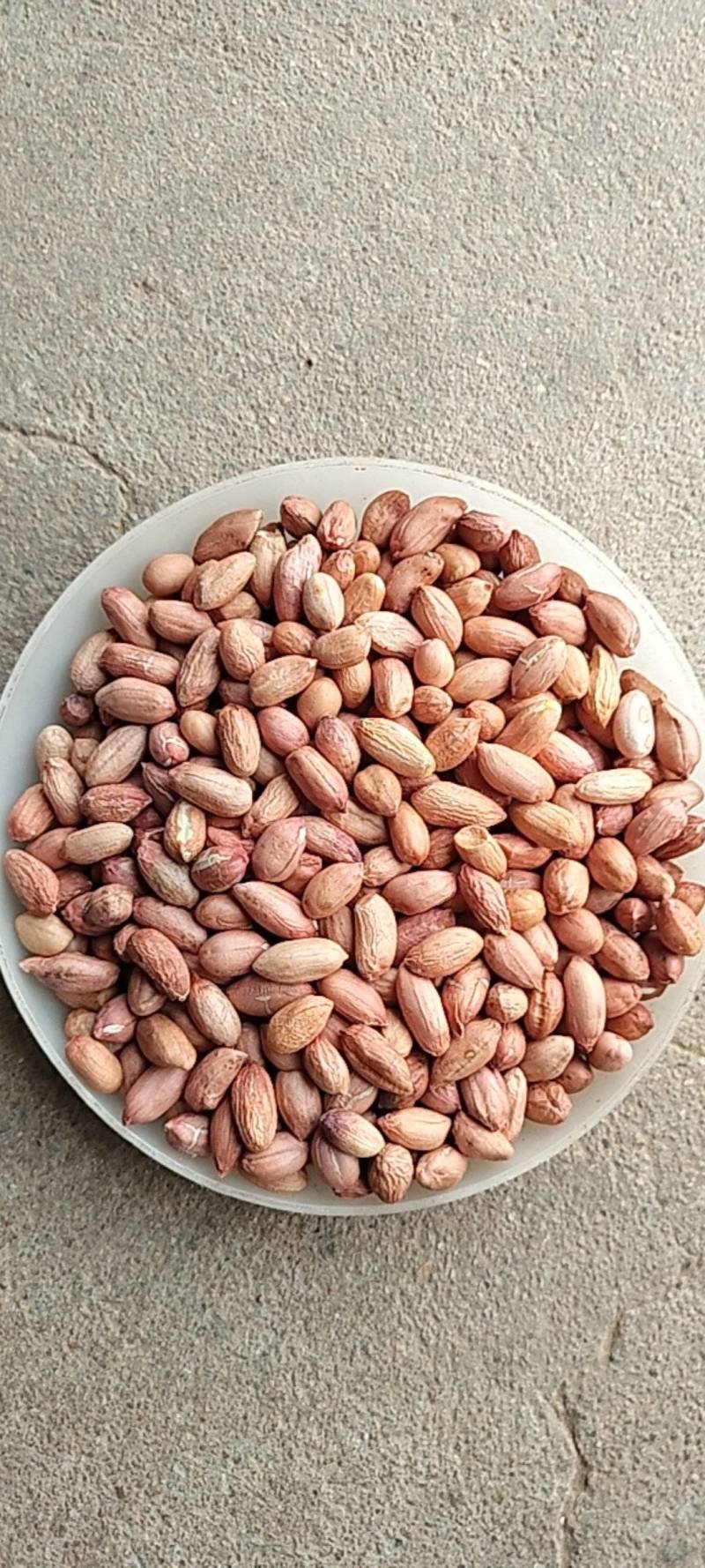 2025年海花花生米规格7-8对接商超电商食堂学校工厂，