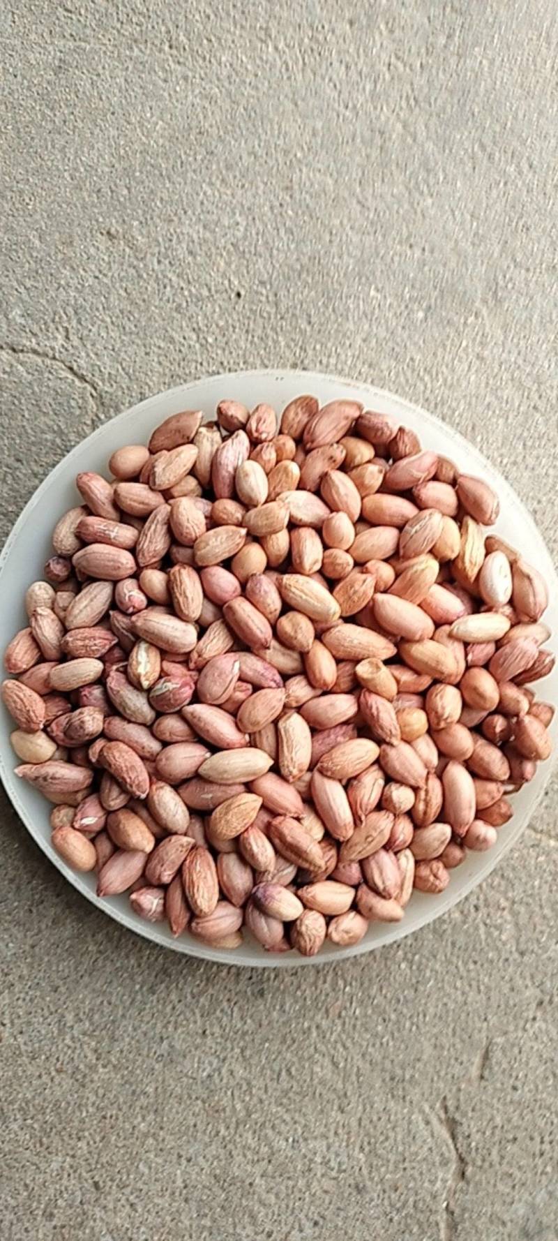 2025年海花花生米规格7-8对接商超电商食堂学校工厂，