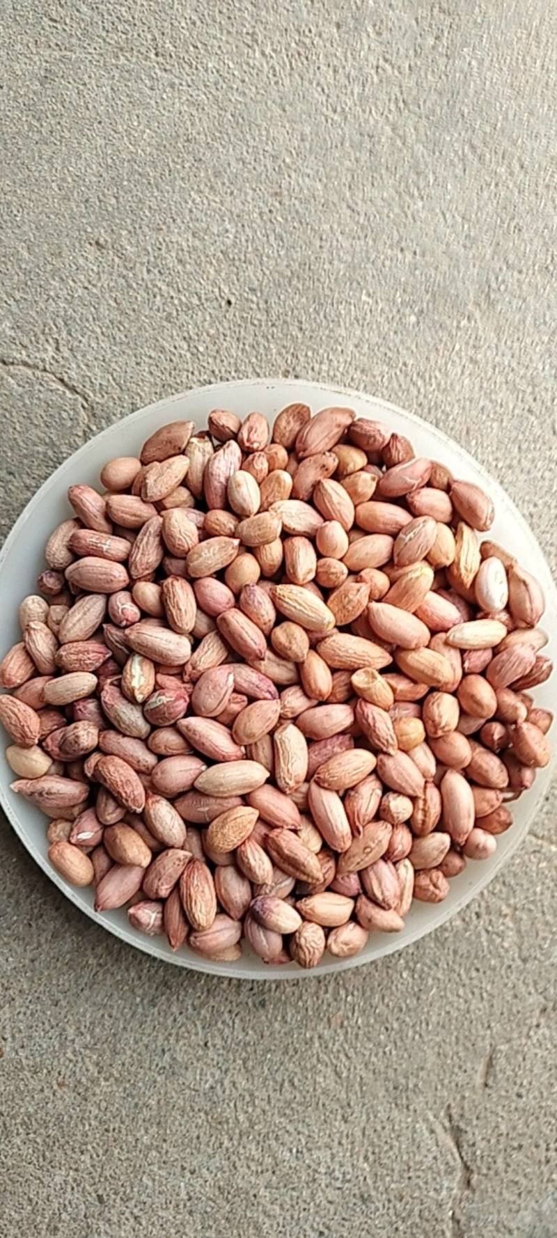 2025年海花花生米规格7-8对接商超电商食堂学校工厂，