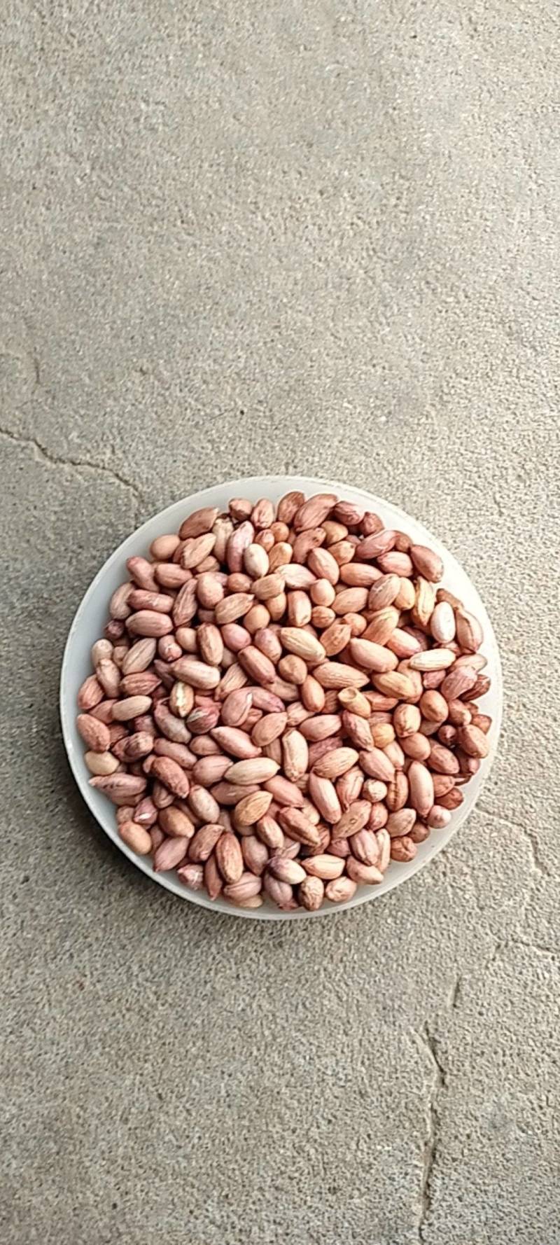 2025年海花花生米规格7-8对接商超电商食堂学校工厂，
