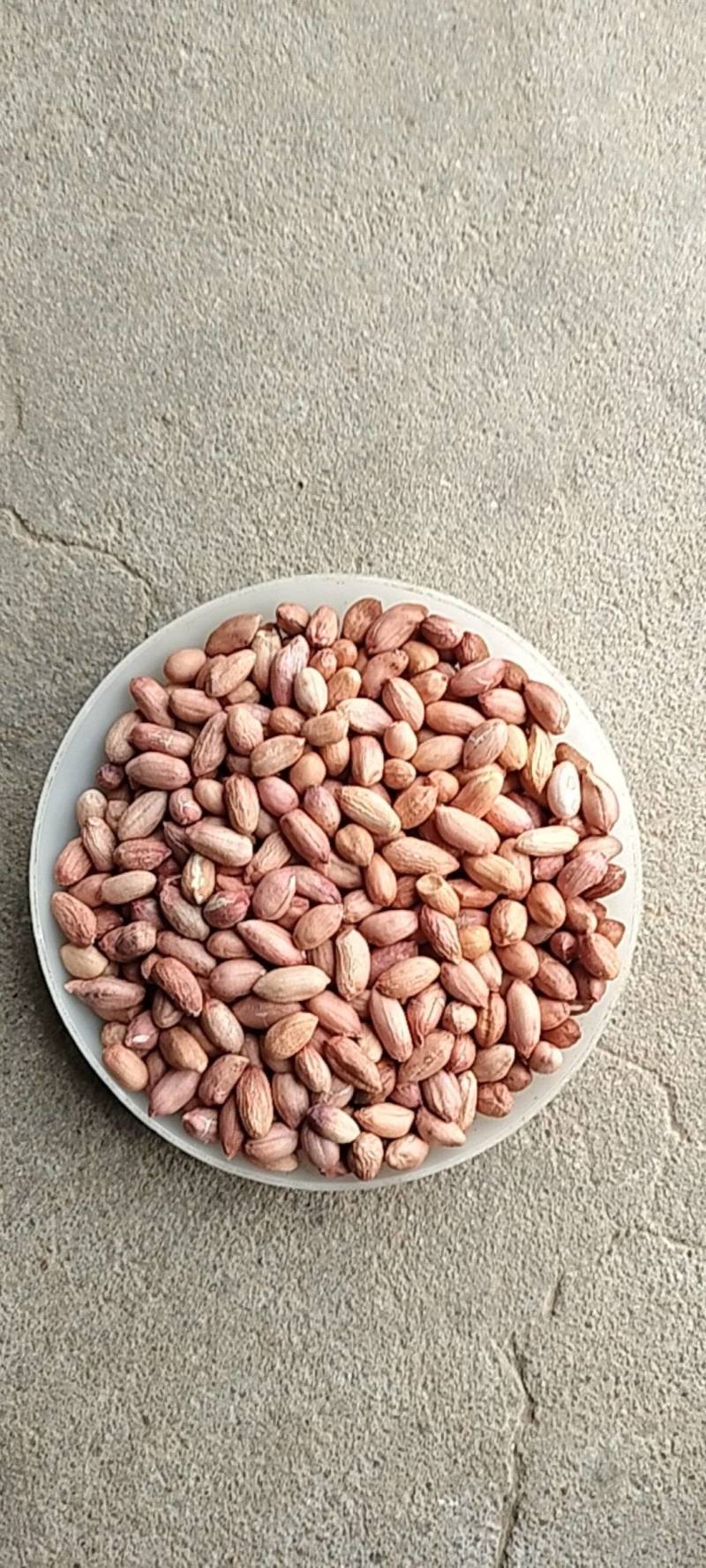 2025年海花花生米规格7-8对接商超电商食堂学校工厂，
