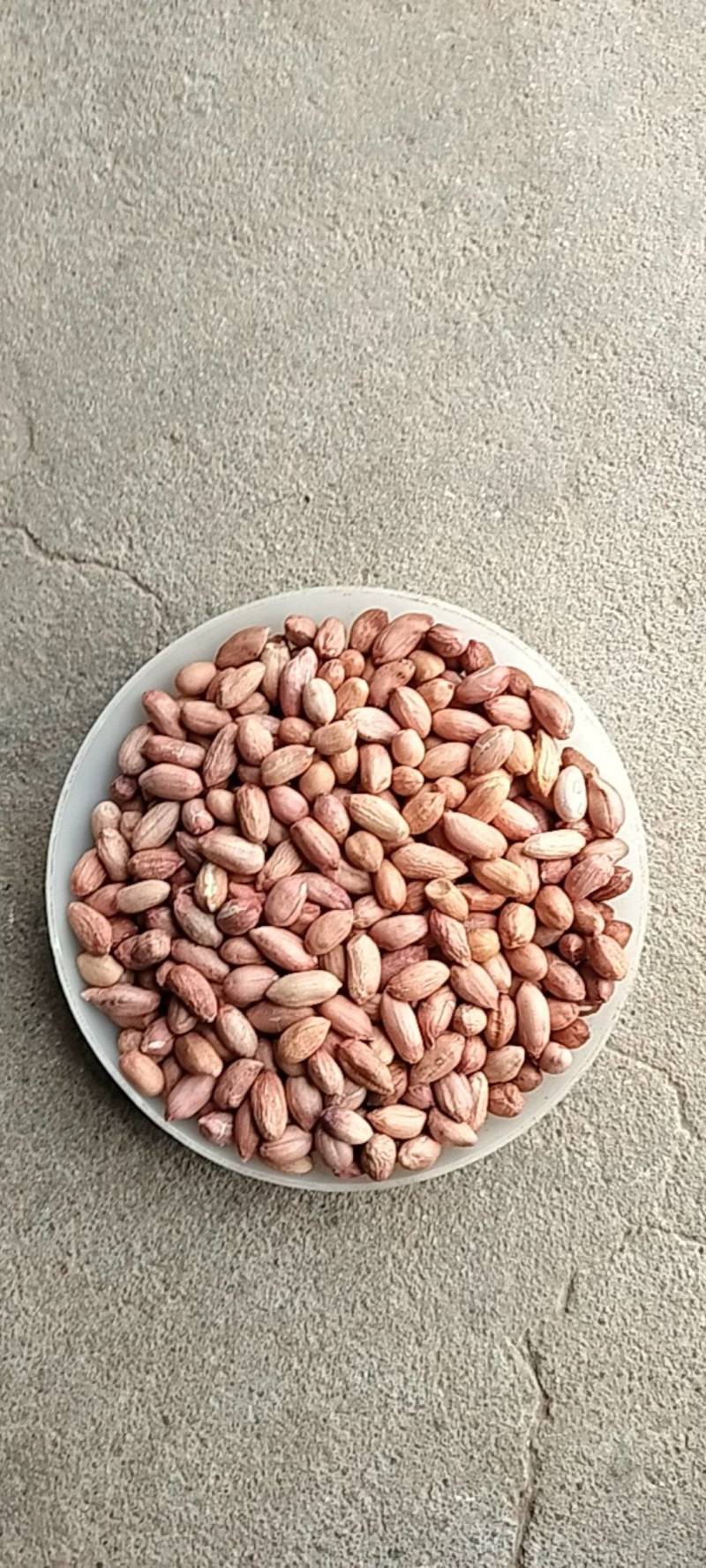 2025年海花花生米规格7-8对接商超电商食堂学校工厂，