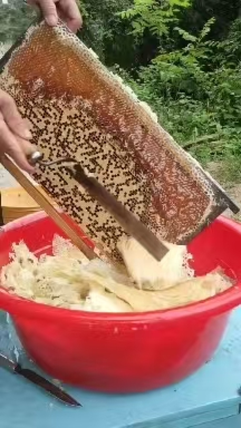 土家散养百花蜂蜜，纯散养不喂糖