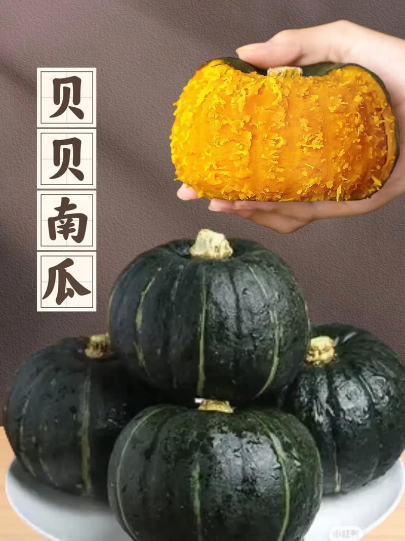 精选贝贝南瓜上市了品相好口感佳量大价优欢迎老板电联