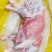 内蒙古巴彦淖尔自家现杀羊肉不膻不腥杜绝育肥羊品质保证，