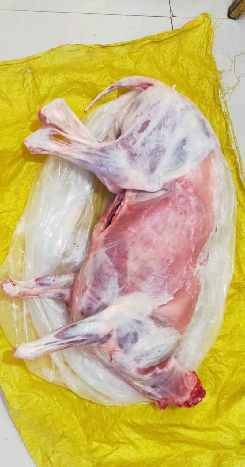 内蒙古巴彦淖尔自家现杀羊肉不膻不腥杜绝育肥羊品质保证，