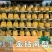 金钻凤梨17号