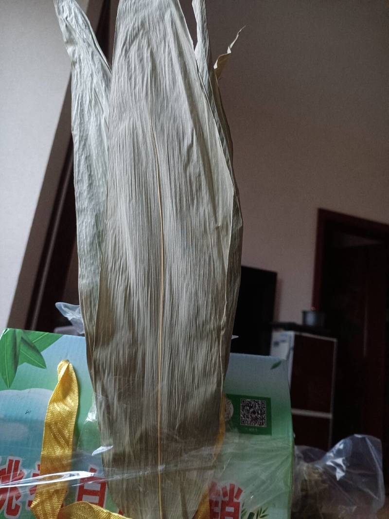 新鲜干粽叶