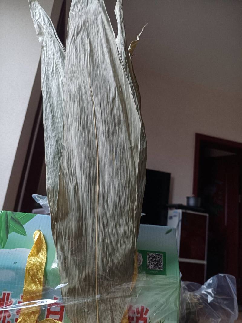 新鲜干粽叶