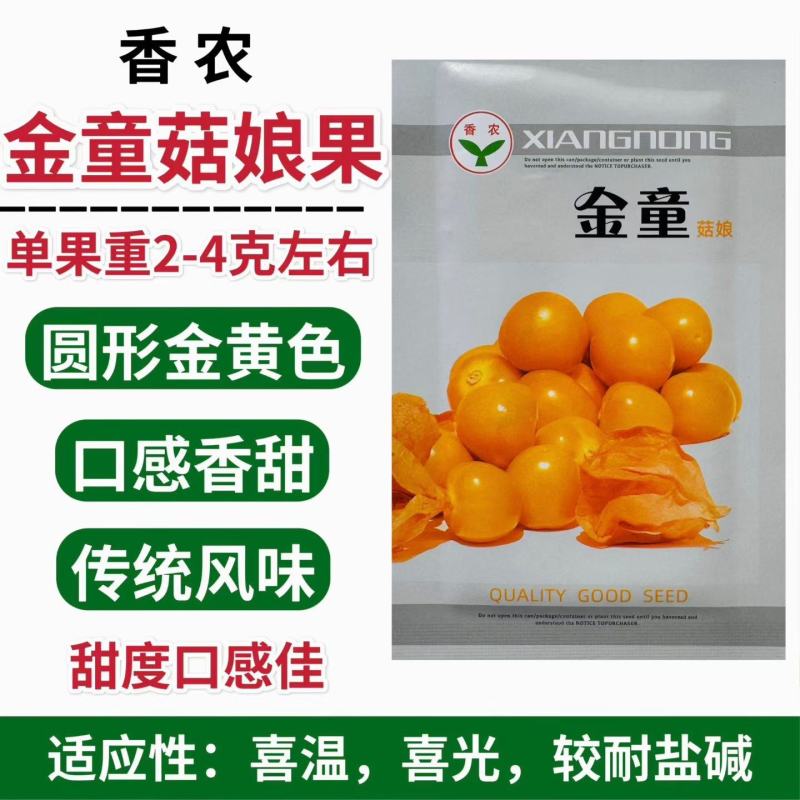 东北姑娘果种子黄菇娘种籽灯笼果籽金童姑娘果种子大田专用