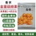 东北姑娘果种子黄菇娘种籽灯笼果籽金童姑娘果种子大田专用