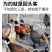 七彩山鸡活鸡