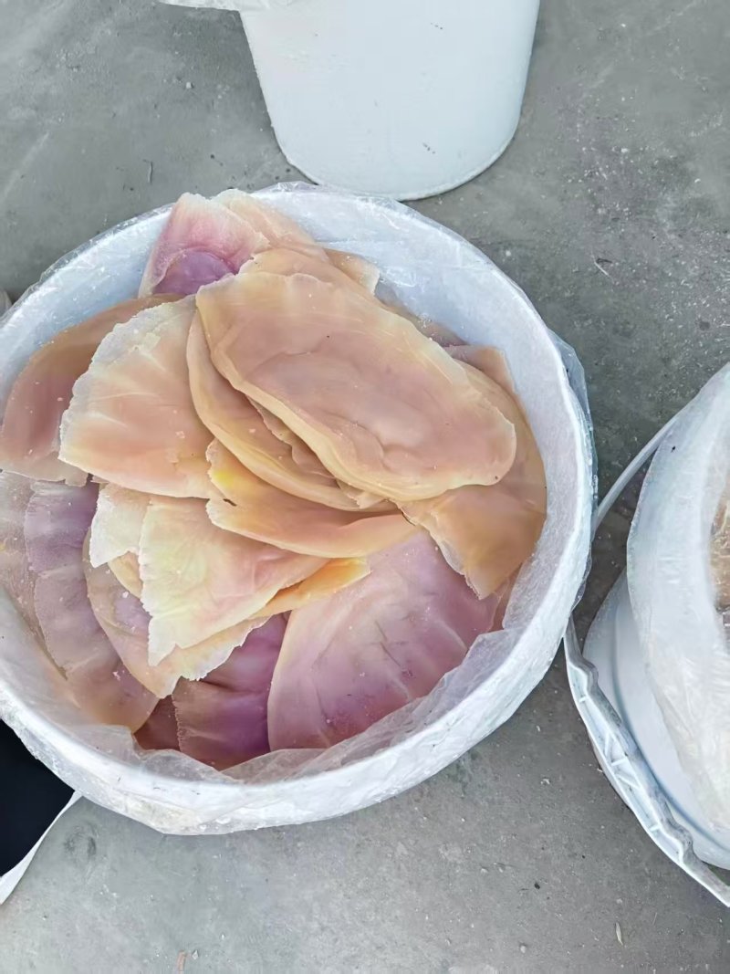 精品海蜇皮提干帽子皮提干波罗皮提干红蜇皮各种规格