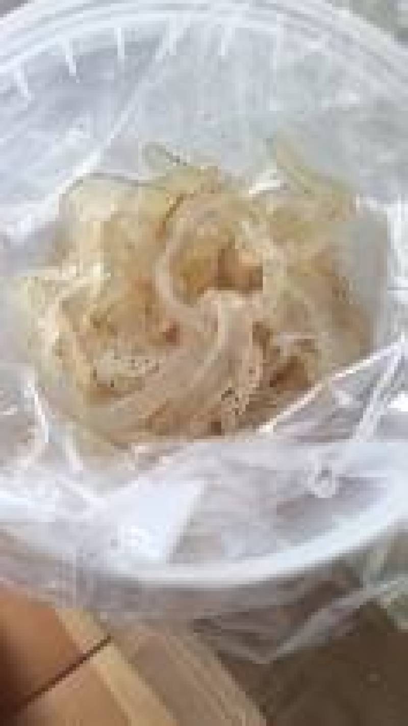 精品珊瑚海蜇丝原产地一手货源大量供应可视频看货欢迎来