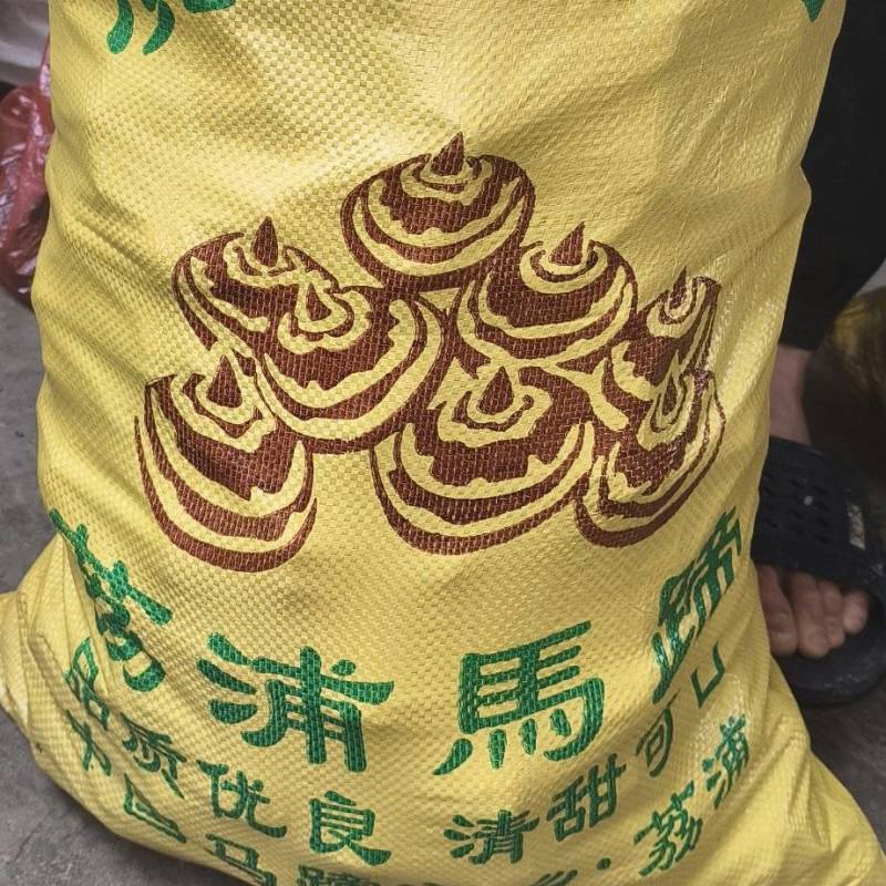 自产正宗荔浦本土马蹄销售