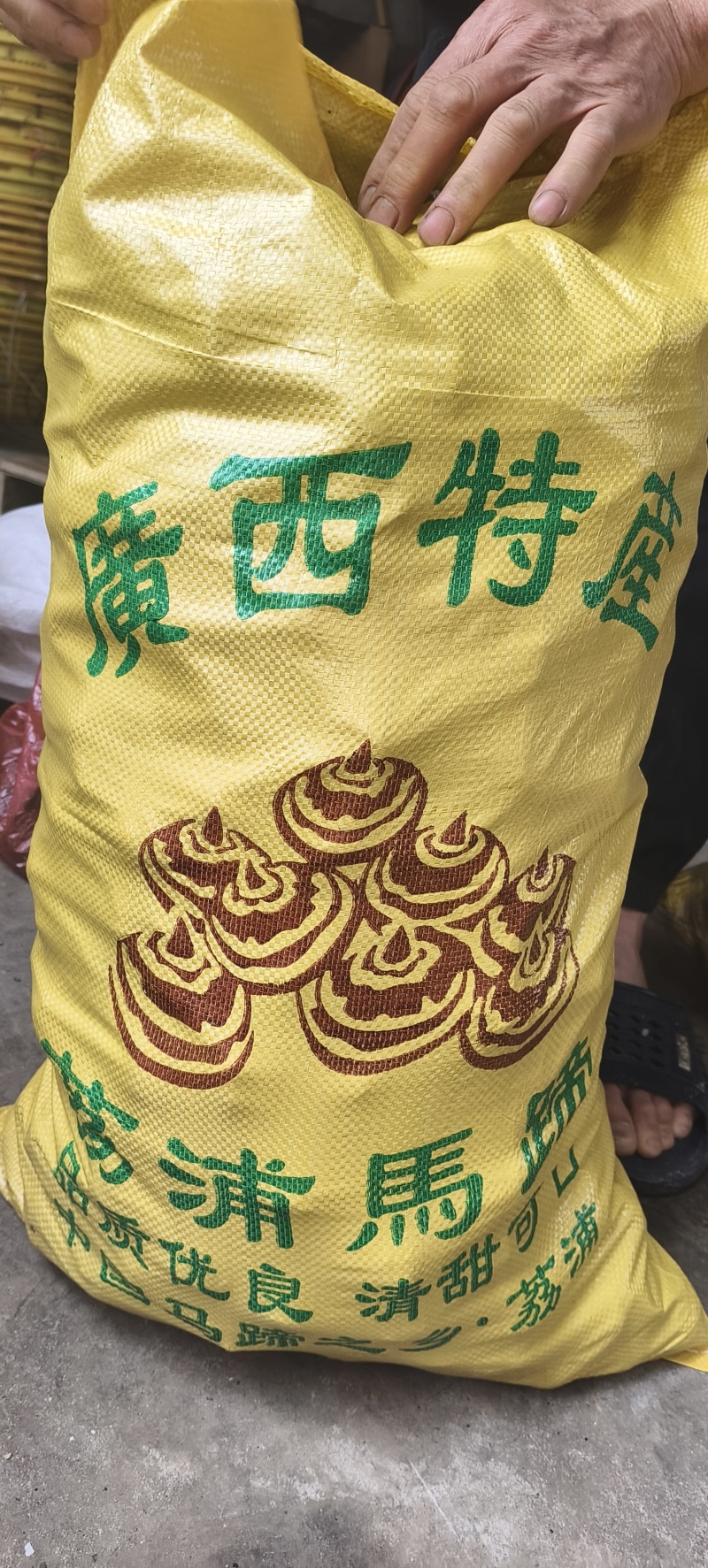 自产正宗荔浦本土马蹄销售