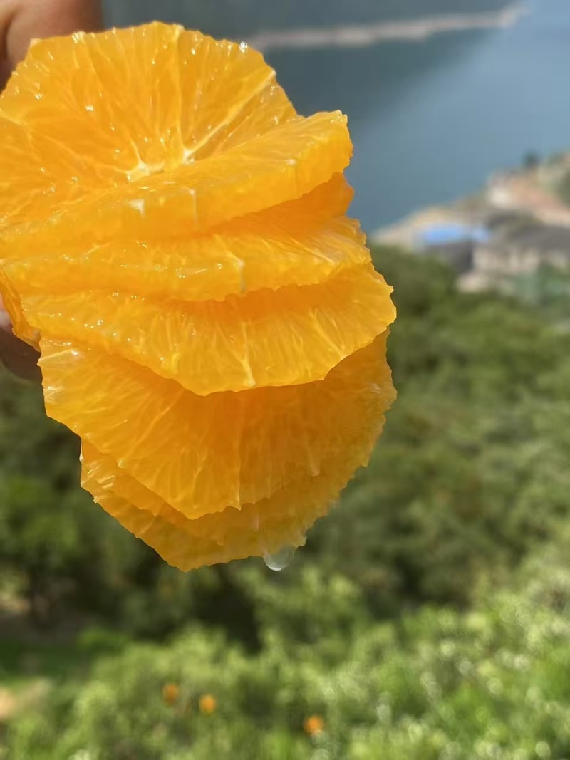 伦晚脐橙湖北脐橙大量现货供应，规格齐全，价格可谈欢迎电联