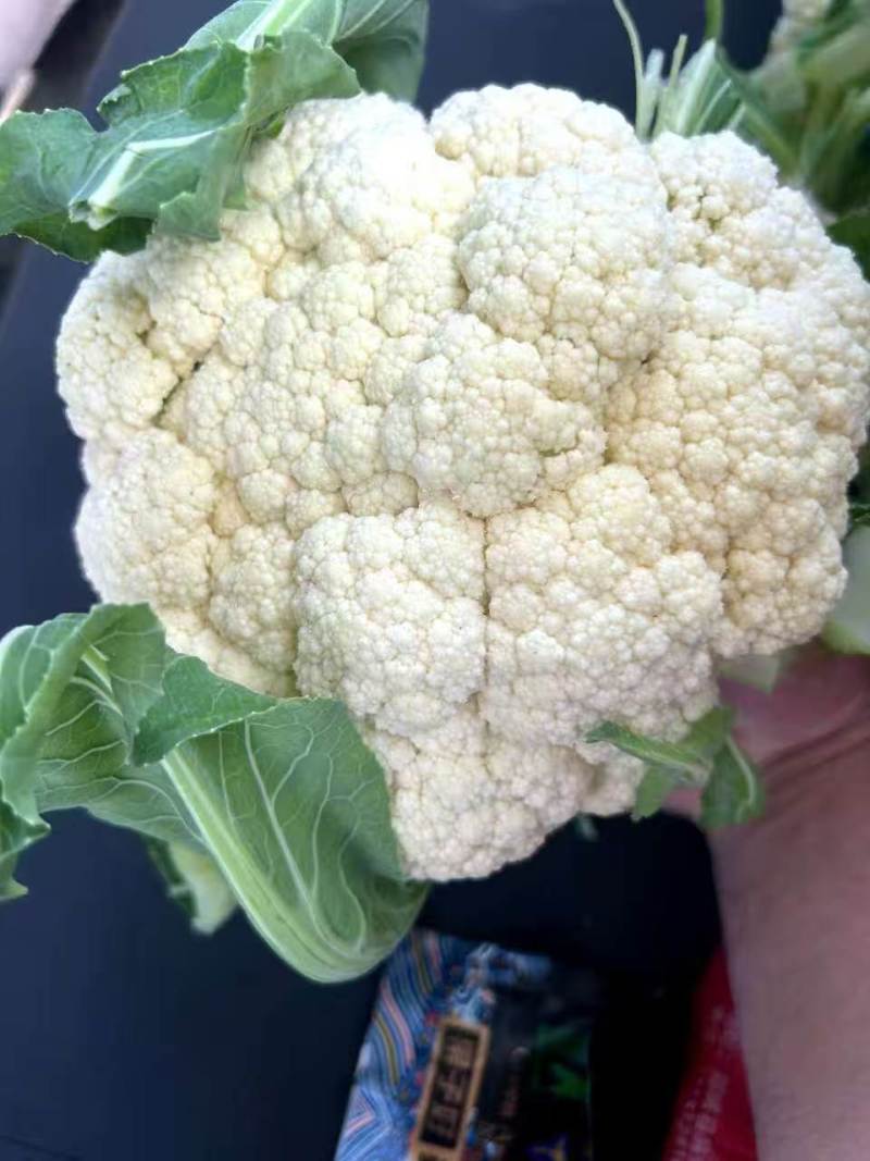松花菜有机花菜菜花青梗白面松花菜无黑点大小朵都有按需分拣