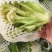 松花菜有机花菜菜花青梗白面松花菜无黑点大小朵都有按需分拣