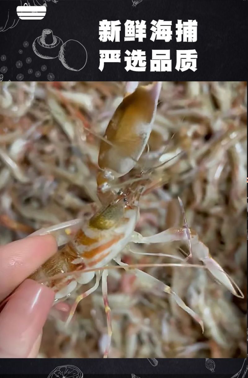 夹板虾嘎板虾小叮海里小龙虾北海码头直接电商平台团购家庭装