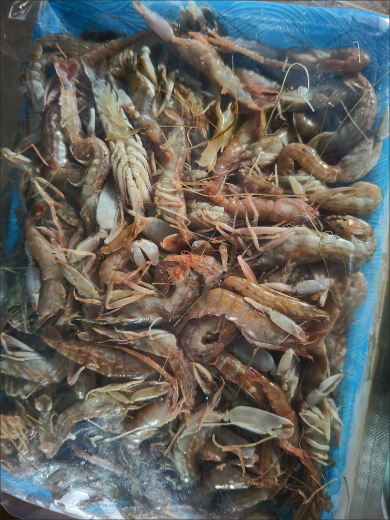 夹板虾嘎板虾小叮海里小龙虾北海码头直接电商平台团购家庭装