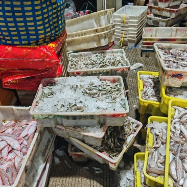 夹板虾嘎板虾小叮海里小龙虾北海码头直接电商平台团购家庭装