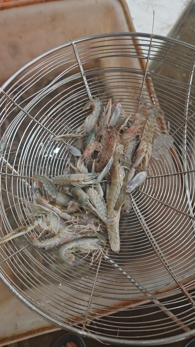 夹板虾嘎板虾小叮海里小龙虾北海码头直接电商平台团购家庭装