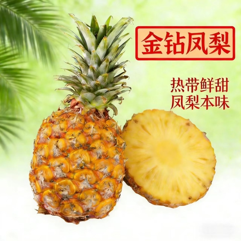 金钻凤梨，各大电商大佬，售后低保质量，利润高，爆单品。