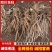 高海拔当归日本当归鲜当归甜当归鲜货大量出售
