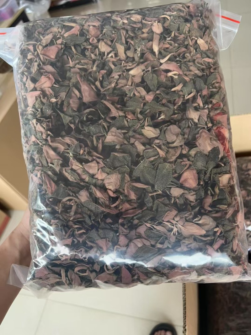 金线莲干品
