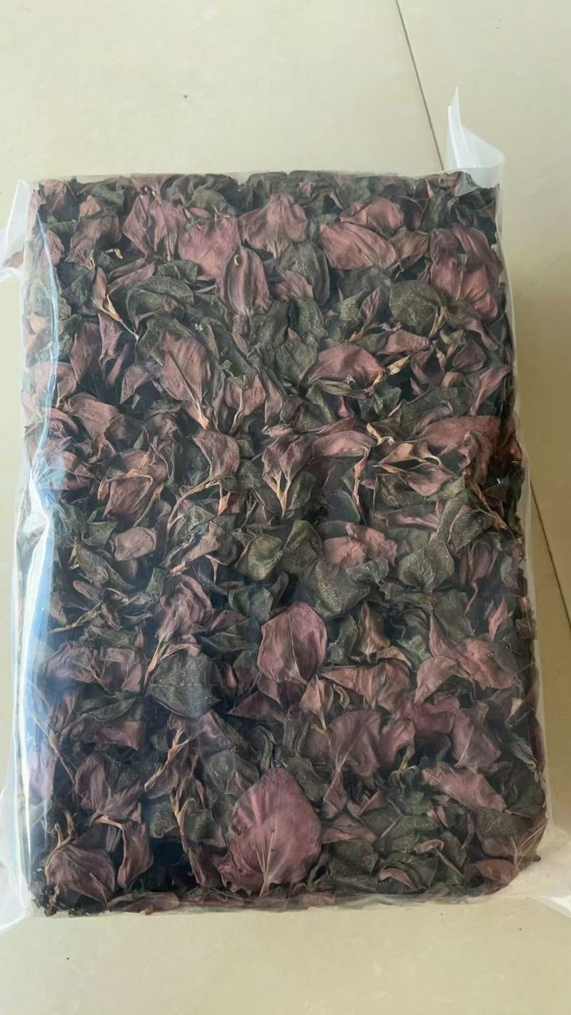 金线莲干品