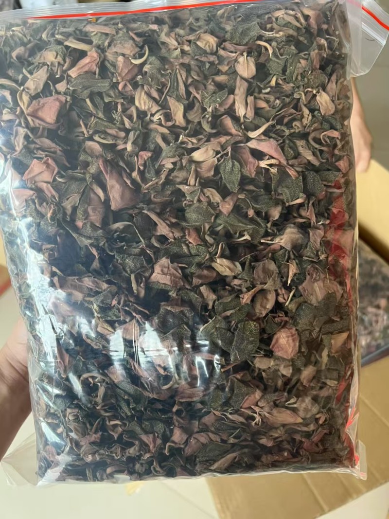 金线莲干品