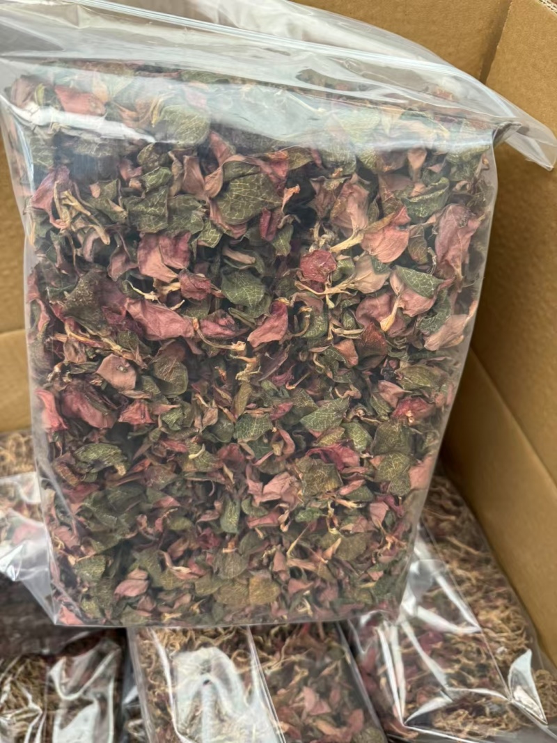 金线莲干品
