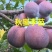 吉林省四平市梨树县挚友果树苗培育基地直销秋蜜李子苗