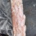 精修猪肉青，1：9比例，双面精修