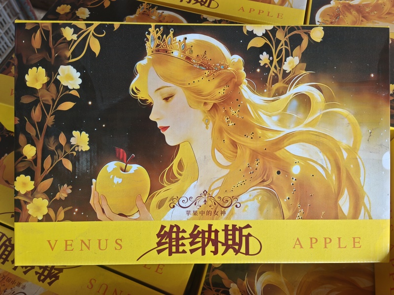维纳斯苹果，黄金苹果，山东维纳斯苹果，脆甜多汁，黄苹果。