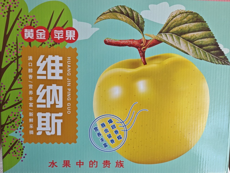 维纳斯苹果，黄金苹果，山东维纳斯苹果，脆甜多汁，黄苹果。
