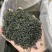 2026年新茶毛峰香茶