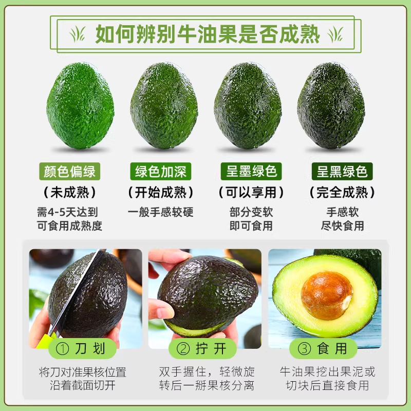 牛油果一手货源一件代发全国发货