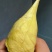 金枕榴莲一手批发价格，a果保5房，品质保证，坏果包赔