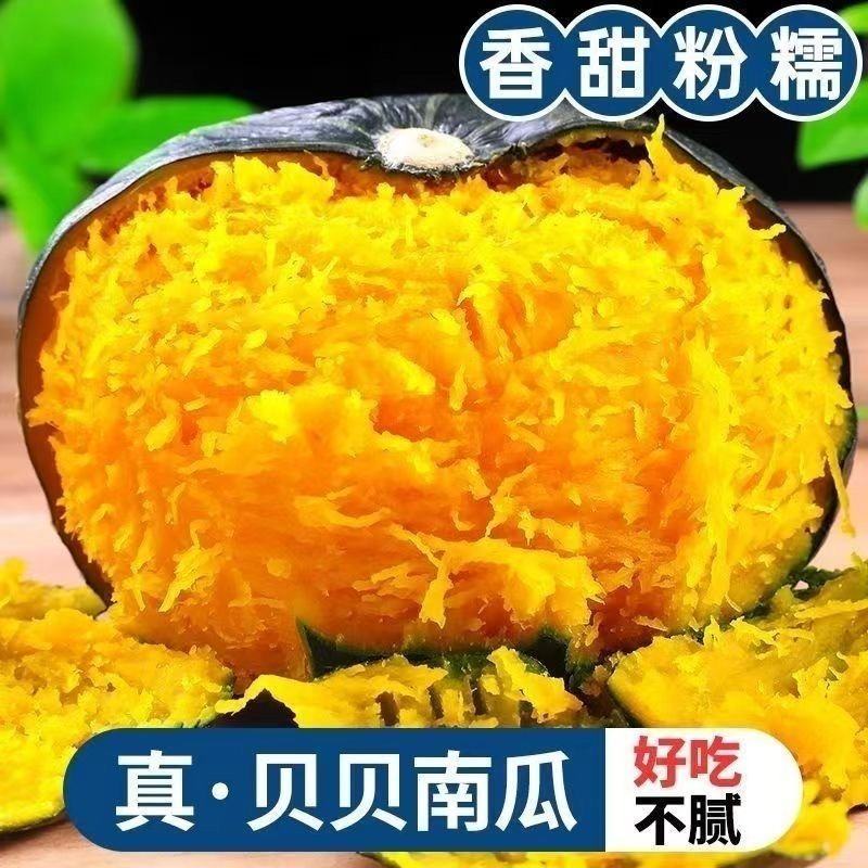 正宗真贝贝南瓜板栗味正宗新鲜3斤5斤