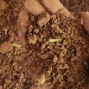 茶枯茶粕茶麸茶籽饼源头厂家