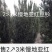 曼地亚红豆杉红豆杉大量有货各种规格基地发货
