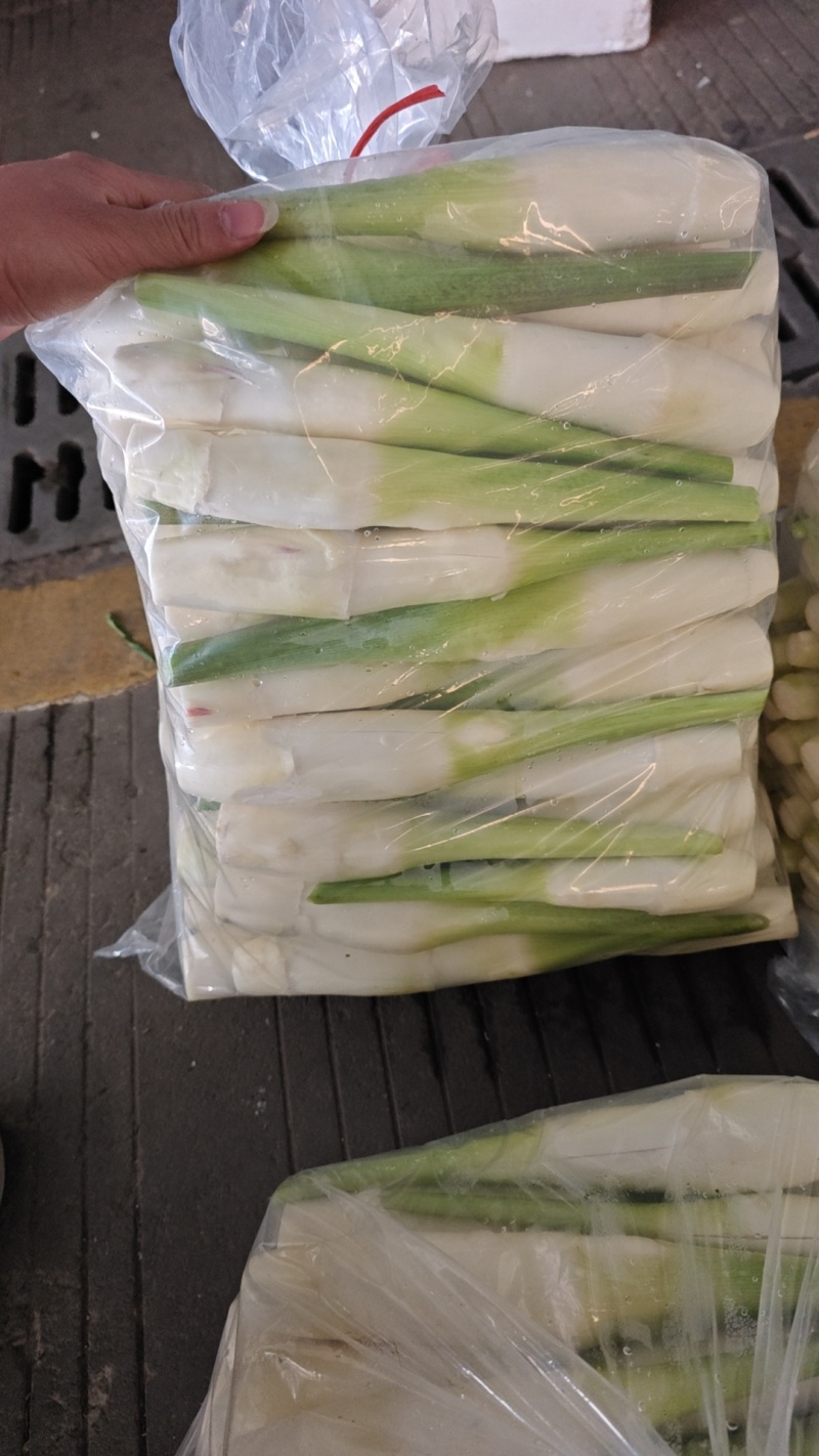 美人茭，精品茭白，肉质白嫩，个头均匀，诚信商家，视频看货