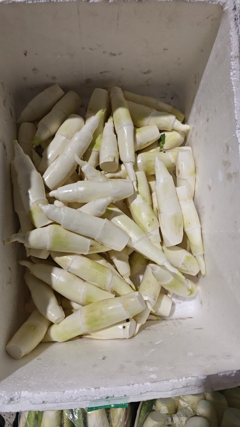 美人茭，精品茭白，肉质白嫩，个头均匀，诚信商家，视频看货