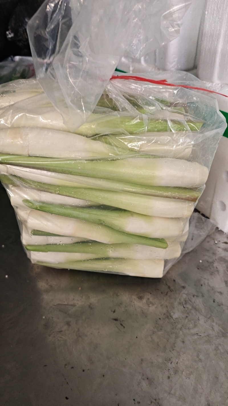 美人茭，精品茭白，肉质白嫩，个头均匀，诚信商家，视频看货