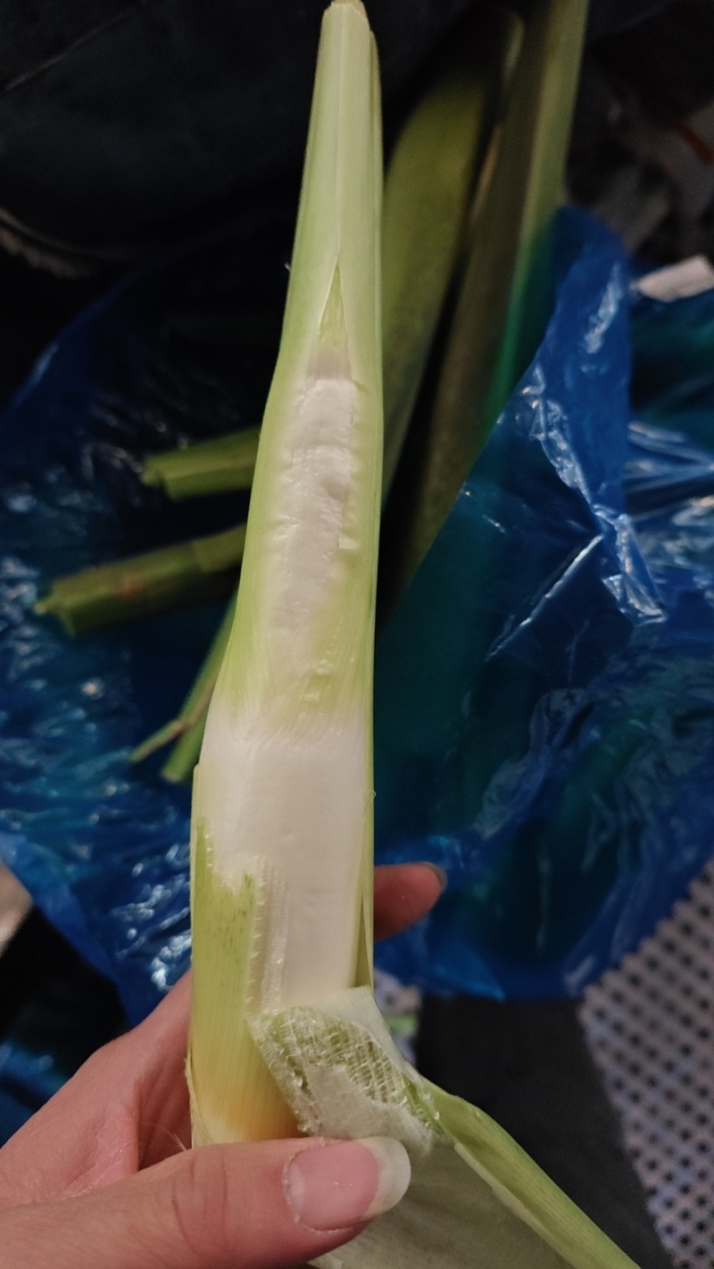 美人茭，精品茭白，肉质白嫩，个头均匀，诚信商家，视频看货