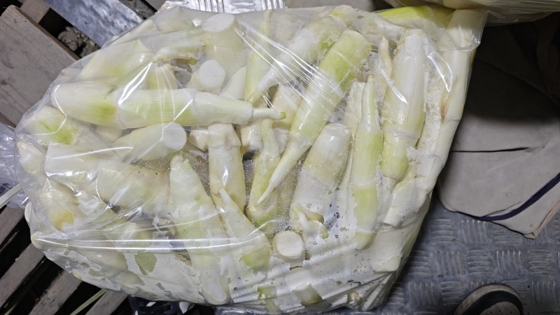美人茭，精品茭白，肉质白嫩，个头均匀，诚信商家，视频看货